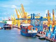 Tổng kim ngạch xuất nhập khẩu cả nước tính đến 15/8 vượt 712 tỷ USD.