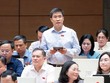 Đại biểu Hoàng Minh Hiếu phát biểu tại hội trường - Ảnh: QH