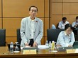 Đại biểu Trần Hoàng Ngân phát biểu tại tổ - Ảnh: QH.