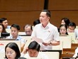 Đại biểu Trịnh Xuân An tham gia thảo luận - Ảnh: QH.