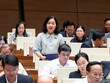 Đại biểu Trương Thị Bích Hạnh phát biểu - Ảnh: QH.
