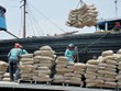 Xuất khẩu xi măng, clinker 7 tháng đầu năm thu về 840 triệu USD, tăng 12,9% so với cùng kỳ. 
