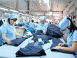 Xuất khẩu hàng dệt may 8 tháng năm 2026 chỉ tăng 1,6% so với cùng kỳ năm ngoái.