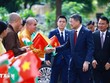 [Ảnh] Thủ tướng Lê Minh Hưng dâng hoa tại Tượng Chủ tịch Hồ Chí Minh ở New Delhi 