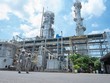 PVFCCo - Phú Mỹ đáp ứng toàn bộ 10 tiêu chí Forbes đặt ra