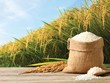 Câu chuyện tại Lộc Trời cho thấy, vốn nhà nước cần được chuyển giao về những tổ chức có đủ năng lực quản lý vốn