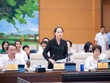 Bộ trưởng Bộ Văn hóa, Thể thao và Du lịch Lâm Thị Phương Thanh trình bày tờ trình: Ảnh: QH.
