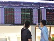 Khả năng hấp thụ của thị trường là yếu tố doanh nghiệp phải cân nhắc khi triển khai kế hoạch huy động vốn cổ phần