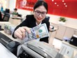 Áp lực từ USD chưa đồng nghĩa tỷ giá trong nước sẽ biến động mạnh