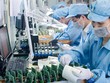 Doanh nghiệp xuất hàng sang EU được khuyến nghị rà soát lại tuyên bố về môi trường trên bao bì sản phẩm. 