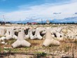 Dự án Kho xăng dầu Việt Lào sẽ bị chấm dứt dự án nếu không kịp hoàn thành giai đoạn I vào tháng 5/2027 (Ảnh: Minh Tân) 