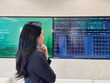 Nhóm dầu khí, vận tải và cao su tích cực hơn mặt bằng chung khi VN-Index tuần qua giảm 2,66%