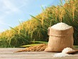 Louis Holdings đổi tên thành Louis Rice, hướng hoạt động trở lại lĩnh vực lương thực - gạo