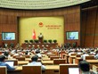 Quốc hội nghe tờ trình dự án Luật. Ảnh: Đức Thanh.