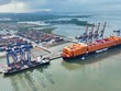 Lĩnh vực logistics nằm trong nhóm ngành được UBND TP.HCM đề xuất hỗ trợ ưu đãi - Ảnh: Q.A