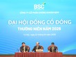 ĐHCĐ Chứng khoán BIDV (BSI): Mục tiêu lợi nhuận 700 tỷ đồng, nâng quy mô vốn lên 11.000 tỷ đồng