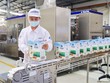 Cổ đông Vinamilk (VNM) sắp nhận cổ tức đợt 2/2022 bằng tiền, tỷ lệ 14% 