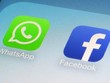 WhatsApp và cuộc chiến giữa Facebook và Google