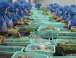 Tháng 2, cả nước có 8.038 doanh nghiệp thành lập mới