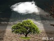 Nhận định thị trường phiên 1/11: Có thể giải ngân thăm dò một phần