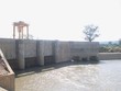 SHP được phát hành thêm gần 16,7 triệu cổ phiếu