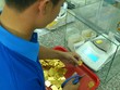 Nguy cơ tái diễn nhập lậu vàng