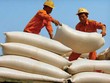 Có ý kiến cho rằng, VNF1 cần tăng tỷ trọng với ngành, nghề kinh doanh chính