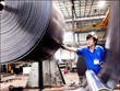 BRC: VRG muốn nâng sở hữu lên gần 25%