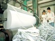 Nhiều nhà đầu tư nghi ngờ về kế hoạch sản xuất giấy và bột giấy của Hapaco với doanh thu 1.200 tỷ đồng/năm.