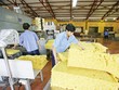 Lợi nhuận tháng 1 của DN cao su giảm mạnh 