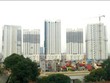 2 tỷ đồng/căn hộ Dự án Mulberry Lane