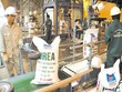 6 tháng, DPM ước đạt 1.368 tỷ đồng lợi nhuận