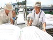 TPG và Masan: Thâm tình thêm chặt