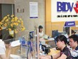Cuộc đổ bộ của những “tân binh” nhân thọ