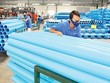 BMP, vì sao đến nỗi?