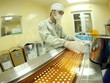 Các dự án nhà máy sản xuất dược phẩm của IMP và DHG sắp đi vào hoạt động (ảnh minh họa)