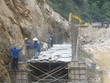 S96 "ca" điệp khúc hoãn cổ tức