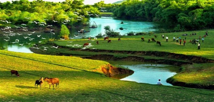 Tổng hợp hình ảnh làng quê Việt Nam đẹp nhất Landscape paintings Art painting oil Photo art