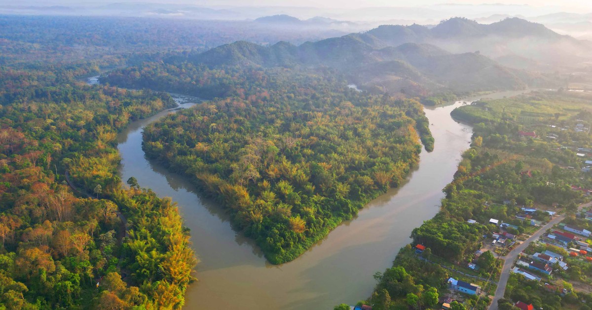 Đến Nam Cát Tiên hòa mình cùng thiên nhiên và ngắm động vật hoang dã về ...