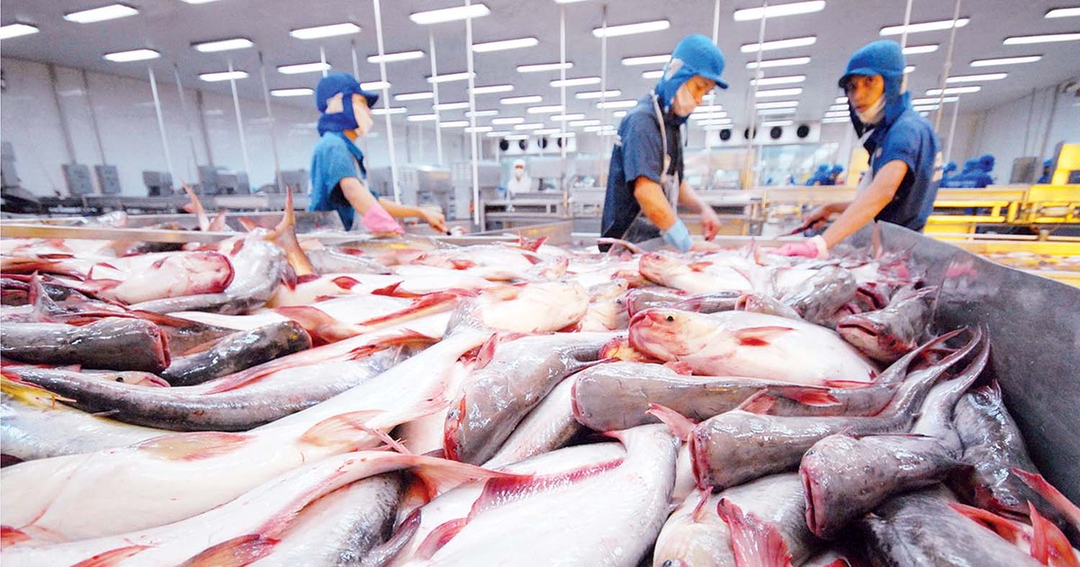 2023年巴沙魚出口量首次出現正成長