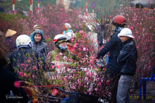 Chợ hoa Quảng Bá vào top điểm đón Tết Nguyên Đán đẹp nhất | Tin ...