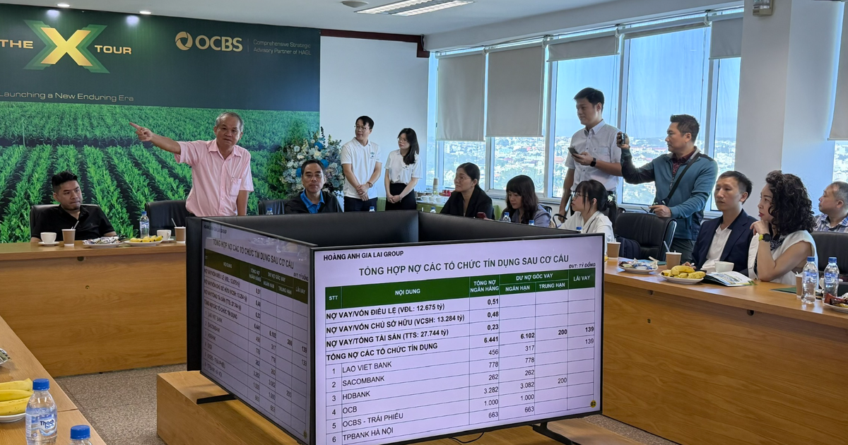 Hoàng Anh Gia Lai, lợi nhuận đột biến đạt 2.800 tỷ đồng, nợ vay không còn là áp lực