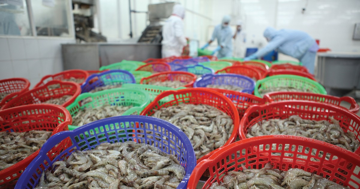 Thủy sản Việt kỳ vọng gỡ “thẻ vàng”