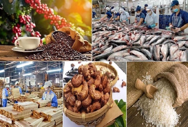 Top 6 mặt hàng nông sản Việt Nam dự kiến xuất khẩu chủ lực trong nửa cuối 2023 | Tin nhanh chứng khoán