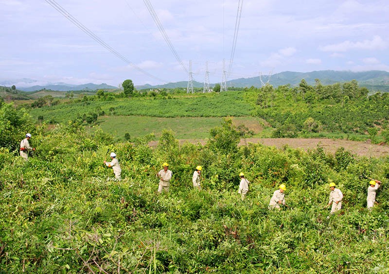 m.tinnhanhchungkhoan.vn