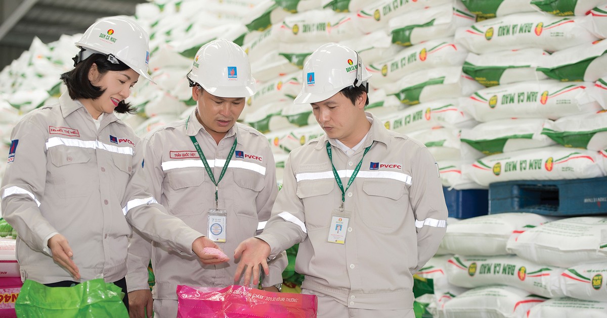 Diễn biến cổ phiếu và triển vọng đầu tư ngành hóa chất, phân bón