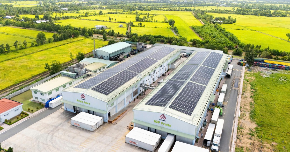 Doanh thu và lợi nhuận đạt kỷ lục mới, Nafoods Group (NAF) khởi công xây dựng dự án Nasoco giai đoạn 2