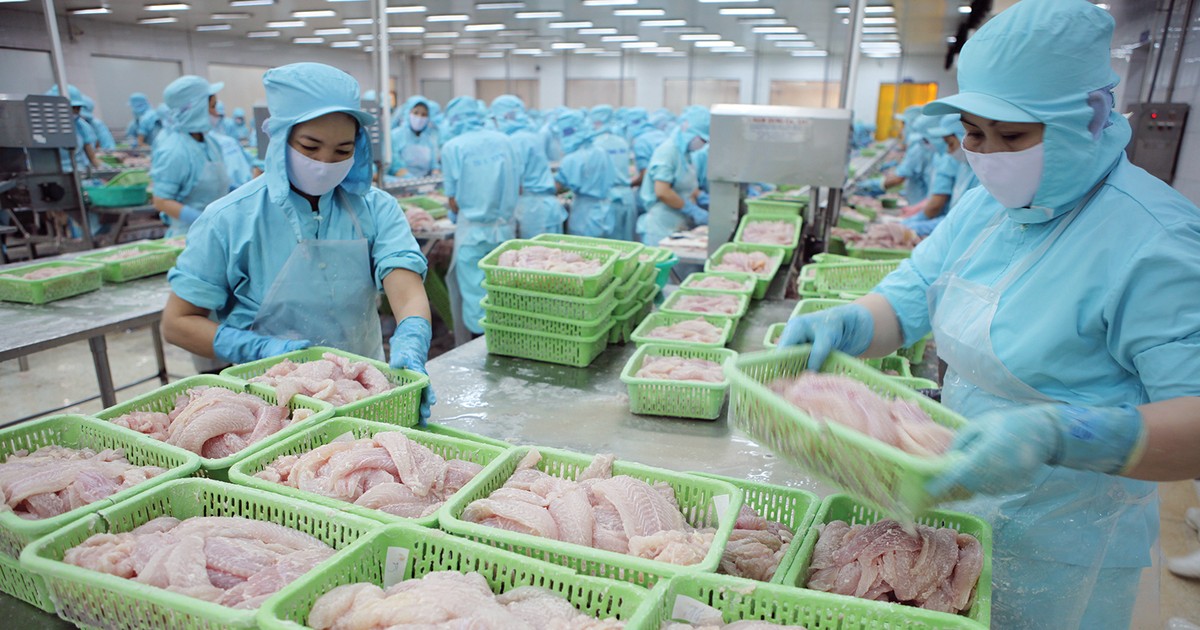 Thuỷ sản mở hướng mới sau áp lực thuế quan