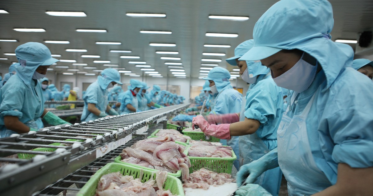 Nam Việt (ANV): Đầu xuôi, đuôi nghẽn!