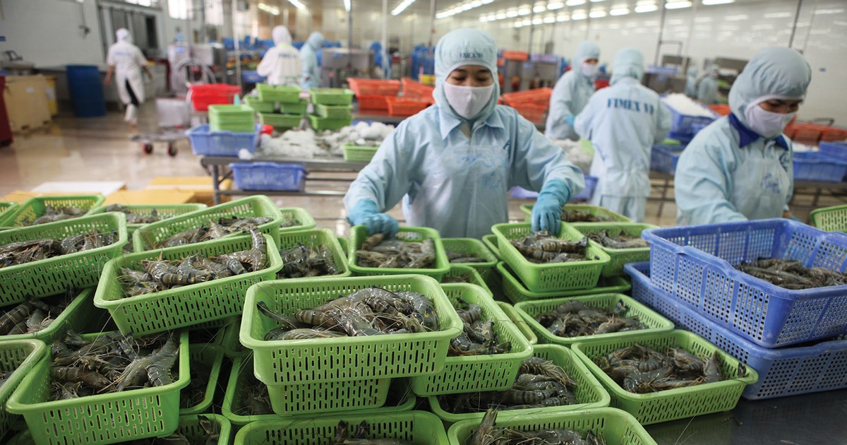 “Kén cá chọn canh” cổ phiếu thủy sản